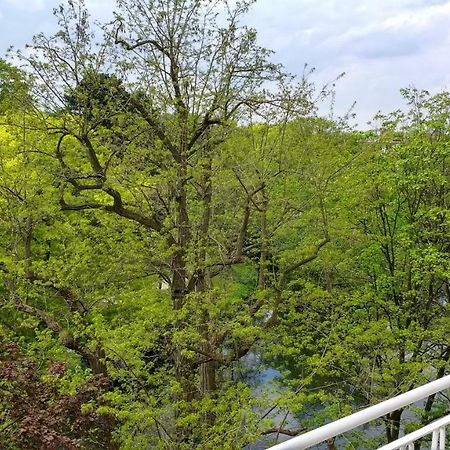 Ferienwohnung Parkblick BRE Eksteriør bilde